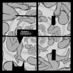 Lista Przebojów TOP 30 Wasza Muza 229