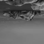 Mysłowicki Gutierez zaprasza nad „Morze Martwe” singlem „Szlagówka”